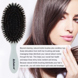 Oval Paddle Boar Bristle Air Cushion Hair Brush – AB206